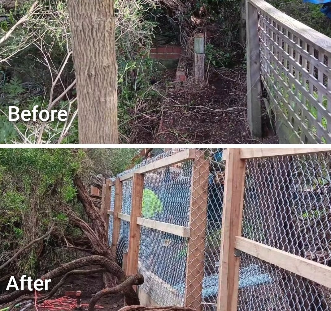 Before and after residential wire fence replacement by Mordy Fencing